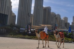 December 12, 2016 | Marina Beach, Dubai, United Arab Emirates