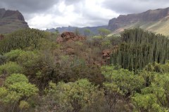 March 22, 2013 | Near Maspalomas, Gran Canaria, Spain