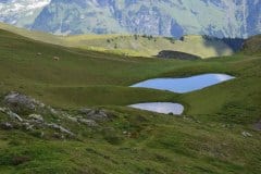 August 11, 2021 | Between Männlichen and Kleine Scheidegg,  Switzerland