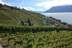 September 19, 2013 | 1. Etappe Lausanne-Romont | Fahrt durch das UNESCO-Welterbe Lavaux mit Blick auf Genfersee und Wallisser Alpen