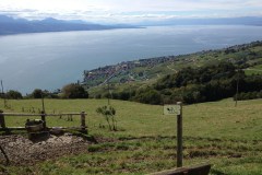 September 19, 2013 | 1. Etappe Lausanne-Romont | Blick auf Cully und See