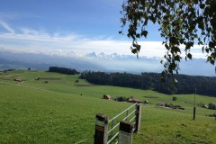 September 21, 2013 | 3. Etappe Laupen-Thun | Traumhafte Aussicht von der Bütschelegg auf die Berner Alpen