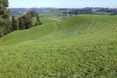 September 24, 2013 | 6. Etappe Burgdorf-Vordemwald | Zwischen Lützelflüh BE und Sumiswald BE