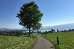 September 7, 2016 | 8. Etappe Eschenbach - Einsiedeln | Oberhalb von Cham ZG mit Blick auf Cham und Zugersee