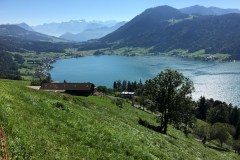 September 7, 2016 | 8. Etappe Eschenbach - Einsiedeln | Oberhalb Ägerisee mit Blick Richtung Süden