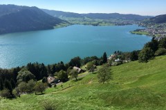 September 7, 2016 | 8. Etappe Eschenbach - Einsiedeln | Ägersiee mit Blick in Richtung Norden