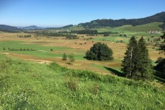 September 7, 2016 | 8. Etappe Eschenbach - Einsiedeln | Hochmmor Rothenthurm bei Rothenthurm SZ