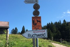 September 8, 2016 | 9. Etappe Einsiedeln -Rapperswil | Höchster Punkt der Herzroute, Rinderweidhorn oberhalb der Sattelegg 1281 m.ü.M.