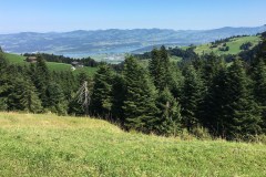 September 8, 2016 | 9. Etappe Einsiedeln -Rapperswil | Blick vom Rinderweidhorn auf den Zürichsee