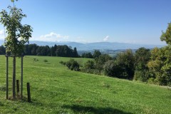 September 9, 2016 | 10. Etappe Rapperswil - Wattwil | Oberhalb von Hinwil ZH