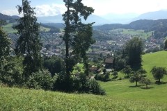 September 9, 2016 | 10. Etappe Rapperswil - Wattwil | Wald ZH