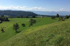 September 9, 2016 | 10. Etappe Rapperswil - Wattwil | Oberhalb Wald ZH. Blick in Richtung Zürichsee