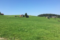 September 11, 2016 | 12. Etappe Degersheim - Appenzell | Kurz vor Stein AR