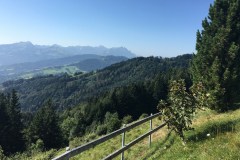 September 13, 2016 | 14. Etappe Altstätten - Rorschach | Blick von St. Anton AI in Richtung Alpstein