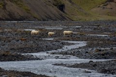 June 16, 2025 | Katla Geopark, Iceland