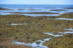 June 14, 2025 | Coast near Vogar, Iceland