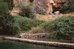 August 1984 | Hermon Stream Nature Reserve, Israel