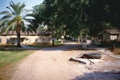 August 1984 | Kibbutz at Sea of Galilee, Israel