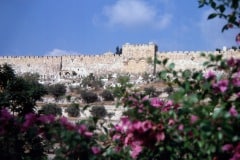 August 1984 | Golden Gate, Jerusalem, Israel