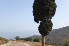 Oktober 19, 2018  | Near Moni Aretiou, Crete, Greece