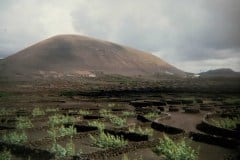 April, 1997 | Bodega La Geria, La Geria, Lanzarote, Spain