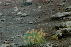 April, 1997 | Timanfaya National Park, Lanzarote, Spain