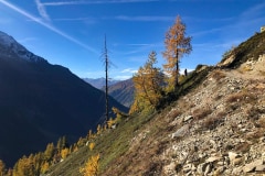 October 19, 2022 | Between Lauchernalp and  Fafleralp VS, Switzerland