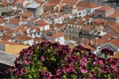 April 11, 2019 | View from Miradouro de Santa Luzia, Lisbon, Portugal