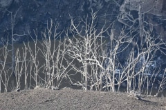 January 27, 2022 | Lago di Vogorno (Lake emptied for revision), Valle Verzasca TI, Switzerland