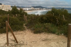 March 23, 2011 | Cala Millor, Mallorca, Spain