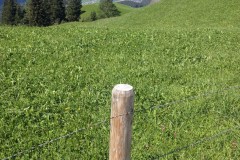 September 8, 2015 |  View from Hasliberg in the direction of Brienzersee, Switzerland