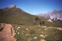 1988 | Swiss National Park, Switzerland