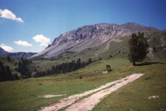 1988 | Swiss National Park, Switzerland