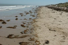 July 16, 2006 | Utah Beach, France