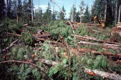 April 28, 1983 | Olympic Mountains, Washington, USA