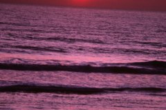 April 28, 1983 | Pacific Coast, Olympic National Park, Washington, USA