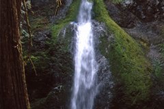 April 29, 1983 | Marymere Falls, Olympic National Park, Washington, USA