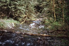 April 29, 1983 | Olympic National Park, Washington, USA