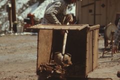 March 19, 1983 | Don Robertson, Gold Mine, Jerome, Arizona, USA