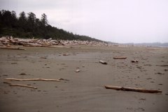 May 1, 1983 | Pacific Rim National Park, Vancouver Island, British Columbia, Canada