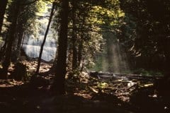 May 4, 1983 | Bridal Falls, Chilliwack, British Columbia, Canada