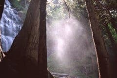 May 4, 1983 | Bridal Falls, Chilliwack, British Columbia, Canada