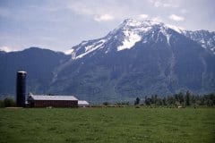 May 4, 1983 | British Columbia, Canada