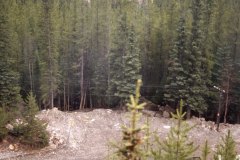 May 7, 1983 | Spiral Tunnel, Yoho National Park, British Columbia, Canada