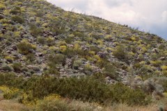 April 6, 1983 | Anza Borrego Desert State Park, California, USA