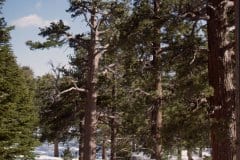 April 7, 1983 | Mount San Jacinto, California, USA