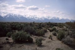 April 16, 1983 | Sierra Nevada, California, USA