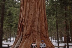 April 17, 1983 | Heinz Moor Heinz Vock, Mariposa Grove, Yosemite National Park, California, USA