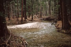 April 17, 1983 | Yosemite National Park, California, USA