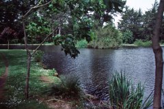 April 22, 1983 | Golden Gate Park, San Francisco, California, USA